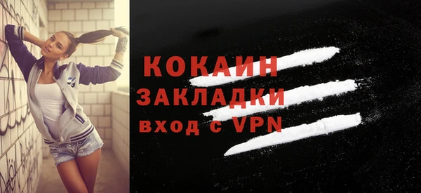 шишки Семёнов