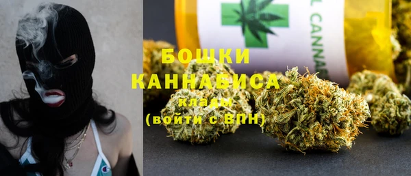 шишки Семёнов