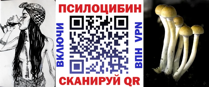 Галлюциногенные грибы GOLDEN TEACHER  Купить где  Донецк 